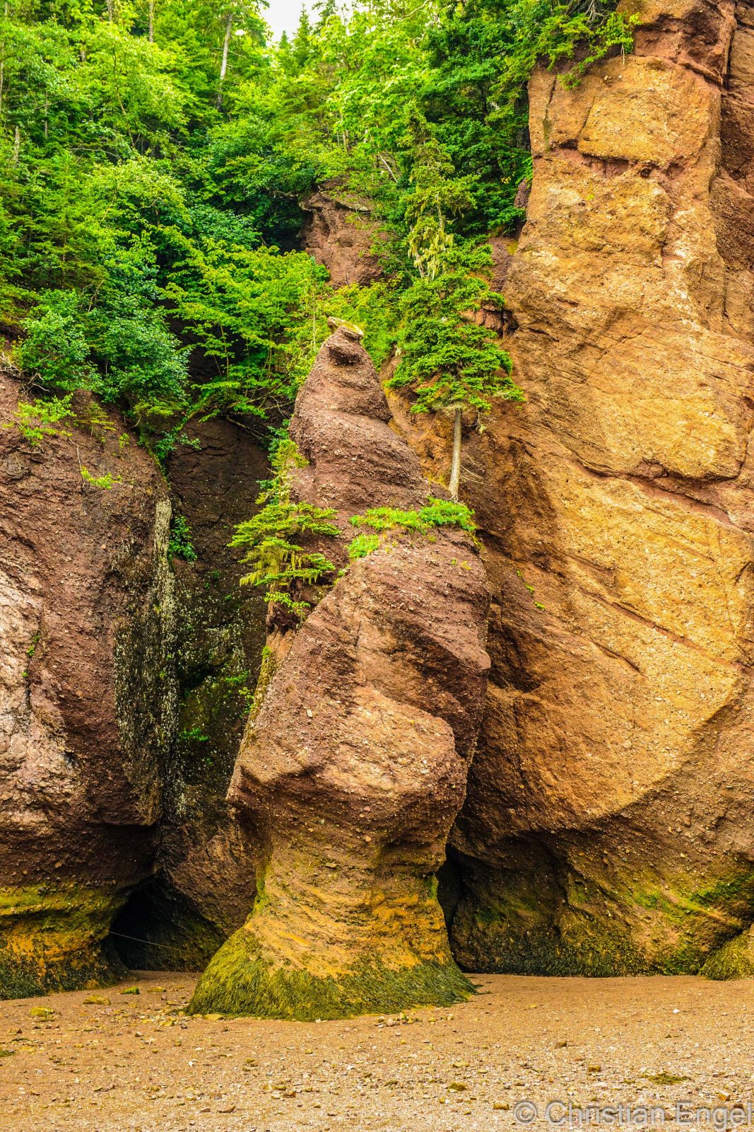 Hopewell Rocks Tide Times and 7 Tips for the Highest Tides in the World
